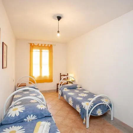 Acacia * カーラ・リベロット